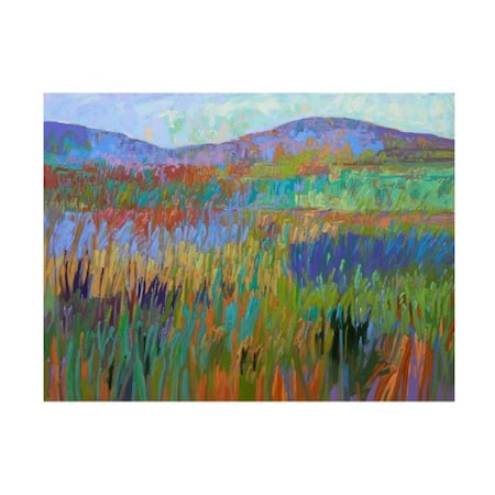 Jane Schmidt 'Color Field No. 68' Canvas Art,14x19